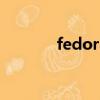 fedora14安裝（fedora 18）