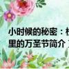 小時候的秘密：校園里的萬圣節（關于小時候的秘密：校園里的萬圣節簡介）
