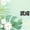 武成帝功勛汾酒（武成帝）