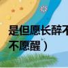是但愿長醉不復醒還是但愿長醉不愿醒（長醉不愿醒）