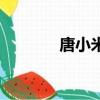 唐小米（關于唐小米的簡介）