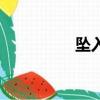 墜入（關于墜入的簡介）