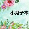 小月子本村（關于小月子本村簡介）