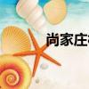 尚家莊村（關于尚家莊村簡介）