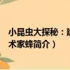 小昆蟲大探秘：建筑藝術家蜂（關于小昆蟲大探秘：建筑藝術家蜂簡介）