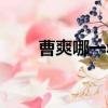 曹爽哪一年出生（曹爽是誰的兒子）