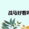 戰馬好看嗎（關于戰馬好看嗎的簡介）