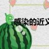 感染的近義詞有哪些（感染的近義詞）
