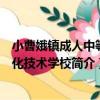 小曹娥鎮成人中等文化技術學校（關于小曹娥鎮成人中等文化技術學校簡介）
