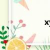 xy（關于xy的簡介）