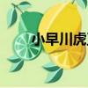 小早川虎正（關于小早川虎正簡介）