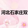 河北石家莊雙色球開獎結果（石家莊雙色球）
