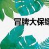 冒牌大保鏢（關于冒牌大保鏢的簡介）