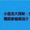 小昆蟲大探秘：空中舞蹈家蝴蝶（關于小昆蟲大探秘：空中舞蹈家蝴蝶簡介）