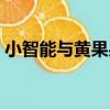 小智能與黃果果（關于小智能與黃果果簡介）