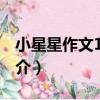 小星星作文100分（關于小星星作文100分簡介）