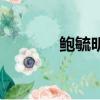 鮑毓明（關于鮑毓明的簡介）