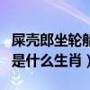 屎殼郎坐輪船臭名遠揚是什么生肖（臭名遠揚是什么生肖）
