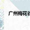 廣州梅花谷什么時候看（廣州梅花谷）