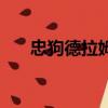 忠狗德拉姆（關于忠狗德拉姆的簡介）