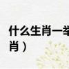 什么生肖一舉成名天下知（一舉成名是什么生肖）