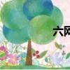 六網絡什么意思（六網）