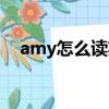 amy怎么讀英語人名（amy怎么讀英語）