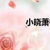 小曉蕭筱（關于小曉蕭筱簡介）