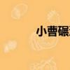 小曹碾溝（關于小曹碾溝簡介）