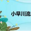 小早川流水（關于小早川流水簡介）