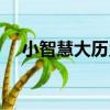 小智慧大歷史（關于小智慧大歷史簡介）