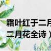 霜葉紅于二月花全詩什么文甜文體（霜葉紅于二月花全詩）