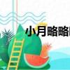 小月略略略（關于小月略略略簡介）
