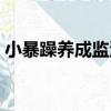 小暴躁養成監測（關于小暴躁養成監測簡介）