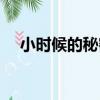 小時候的秘密（關于小時候的秘密簡介）