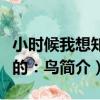 小時候我想知道的：鳥（關于小時候我想知道的：鳥簡介）