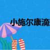 小施爾康滴劑（關于小施爾康滴劑簡介）