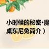 小時候的秘密·魔法同桌東尼兔（關于小時候的秘密·魔法同桌東尼兔簡介）