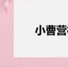 小曹營村（關于小曹營村簡介）