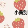小曼別村（關于小曼別村簡介）
