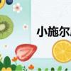 小施爾康（關于小施爾康簡介）