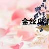 金絲鳥滬劇茅善玉（滬劇茅善玉）