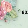 803（關于803的簡介）