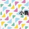 小曹莊（關于小曹莊簡介）