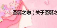 圣誕之吻(關于圣誕之吻的簡介)
