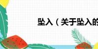 墜入(關于墜入的簡介)