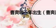 曹爽哪一年出生(曹爽是誰的兒子)
