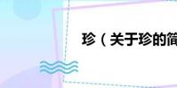 珍(關于珍的簡介)