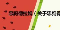 忠狗德拉姆(關于忠狗德拉姆的簡介)
