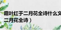 霜葉紅于二月花全詩什么文甜文體(霜葉紅于二月花全詩)